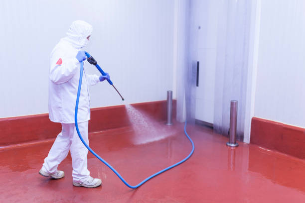 Reliable Plattsburg, MO Pressure Washing Services Solutions