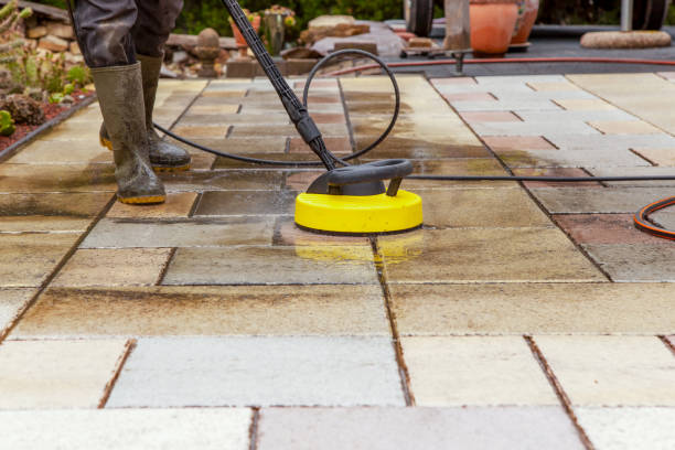Best Solar Panel Cleaning  in Plattsburg, MO